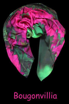 Bougonvillia